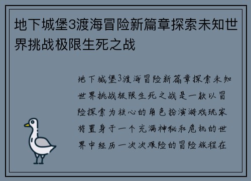 地下城堡3渡海冒险新篇章探索未知世界挑战极限生死之战